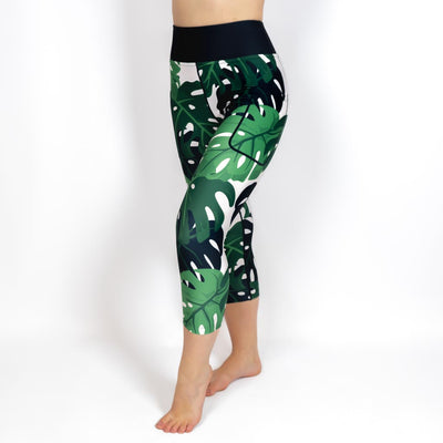 Monstera Capri